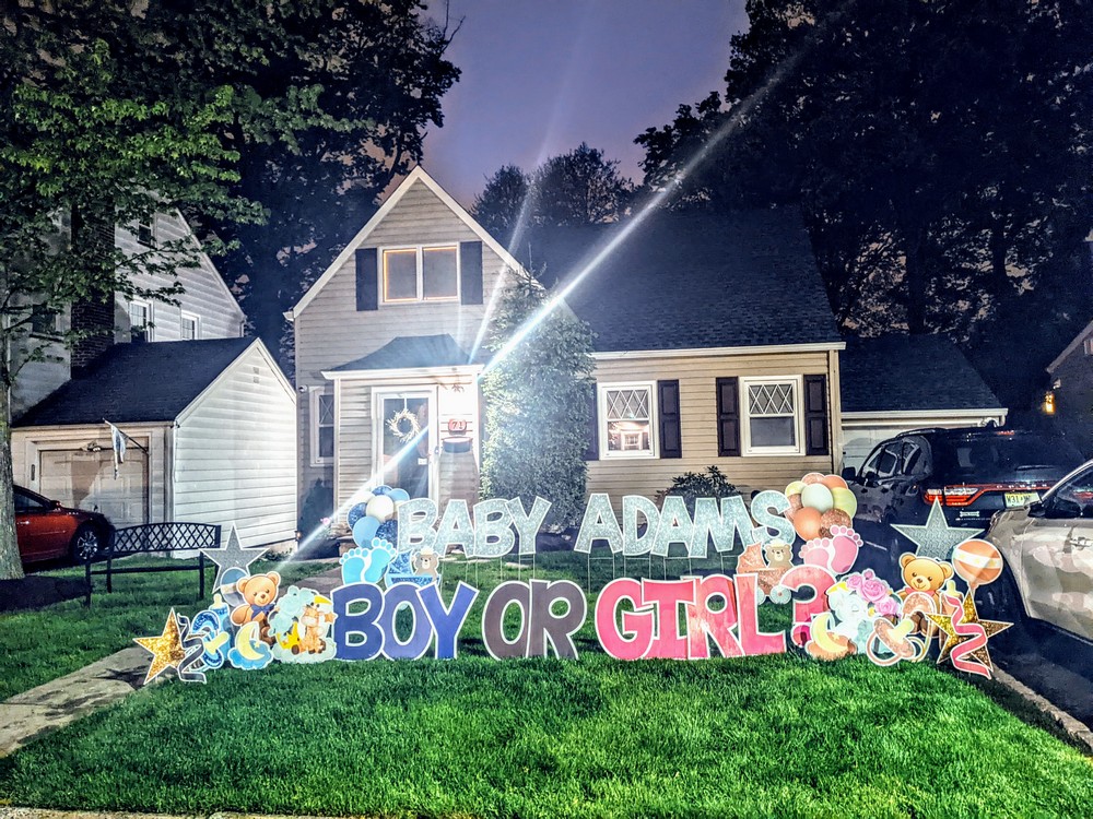 Gender Reveal Yard Sign in Paramus, NJ