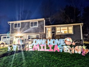 Baby Announcement Yard Signs
