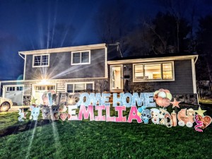 Baby Announcement Yard Signs