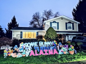 Baby Announcement Yard Signs