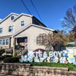 Baby Announcement Yard Signs - Gender Reveals