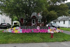 Baby Announcement Yard Signs