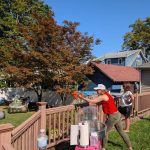 Nerf Party Rentals