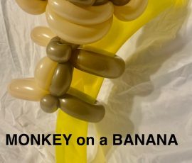 Balloon Artist Kids Party