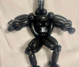 Balloon Artist Kids Party