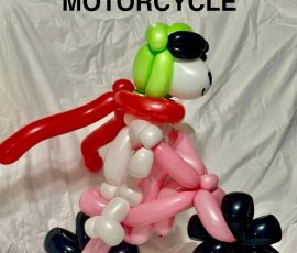 Balloon Artist Kids Party